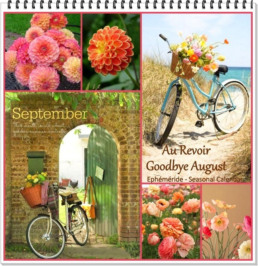 302282924_5693876043995778_3579870824770506165_n