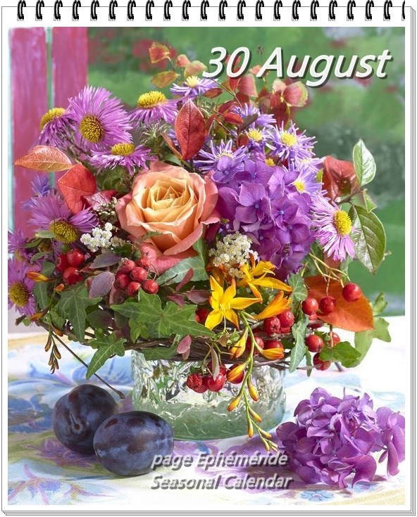 302437704_5688424791207570_3203899696800841624_n