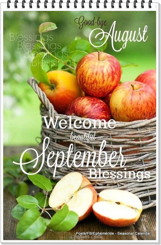 302808699_5692837934099589_3826709248249037771_n