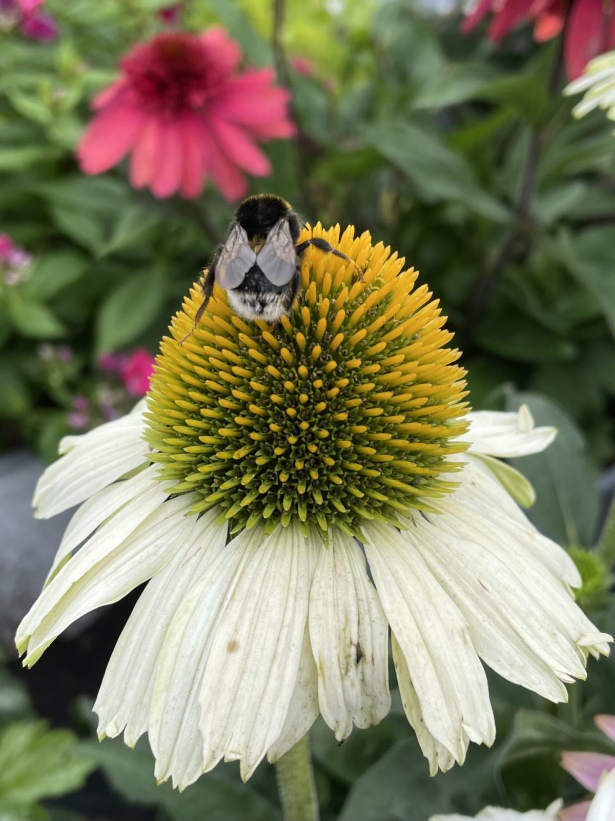 302A991C-194F-4FDF-BFDE-317BF58070AA