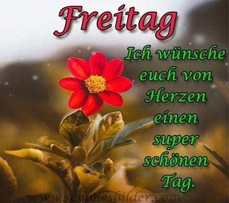 304839317_170367958900714_8853463554281325744_n