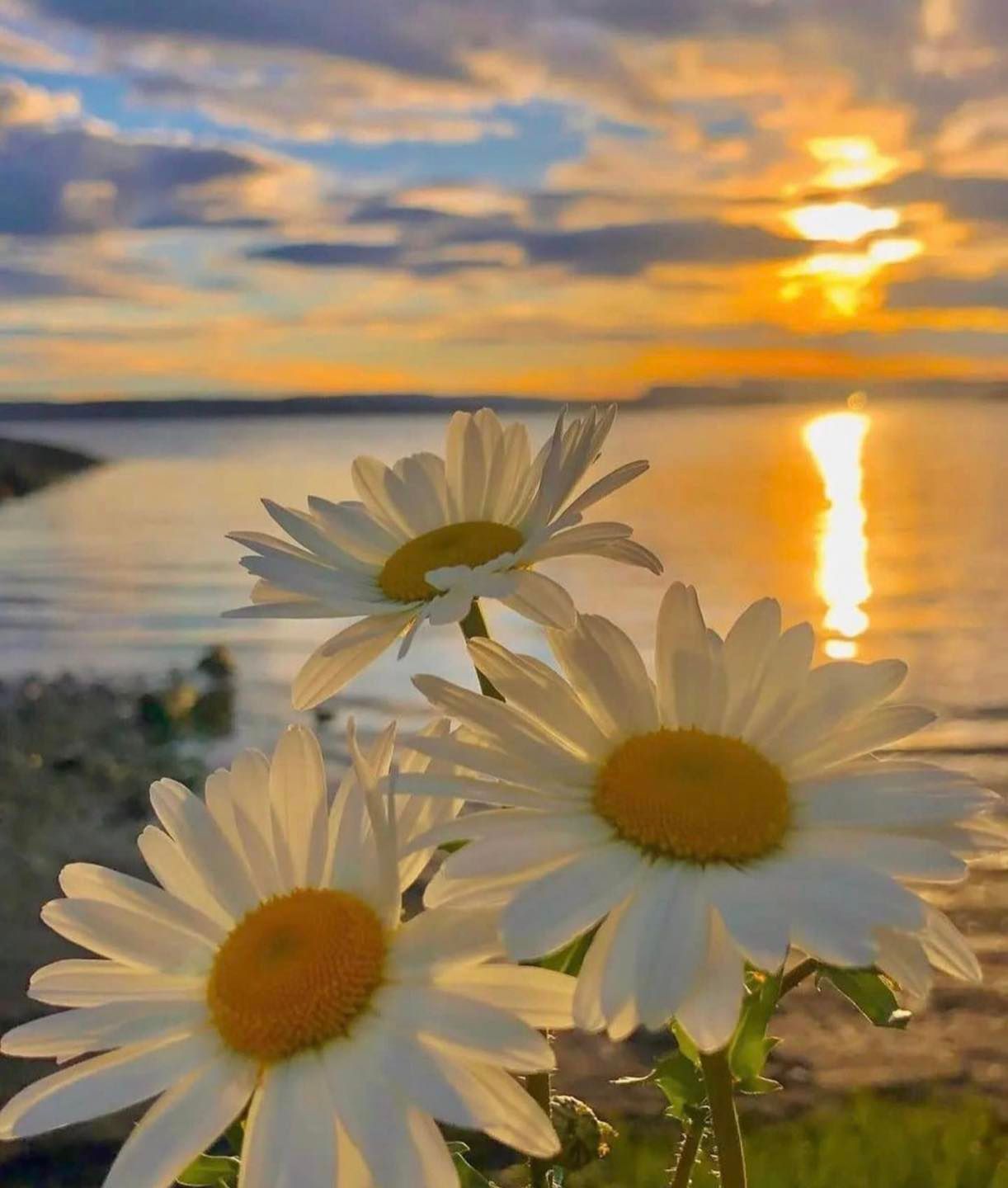 304954311_1772800673058986_5703358137859189780_n