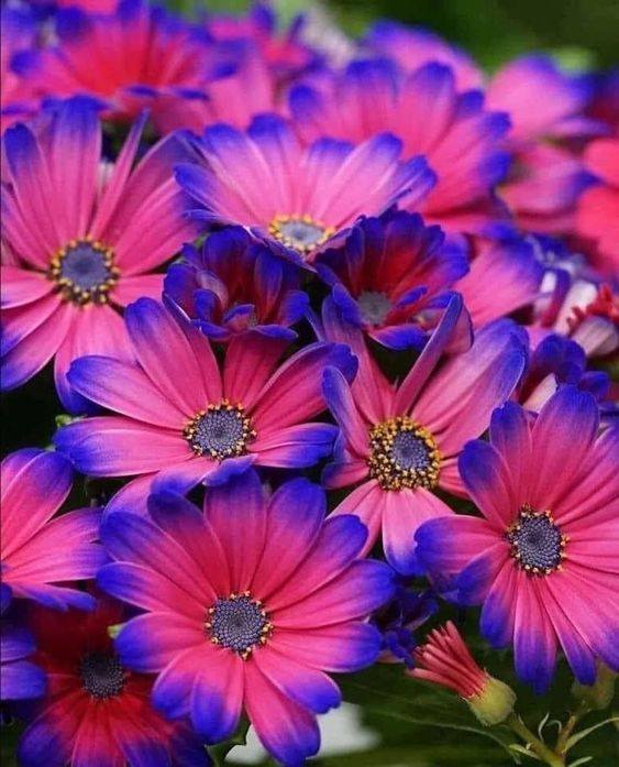 305443073_506739711455568_3034707652024996833_n