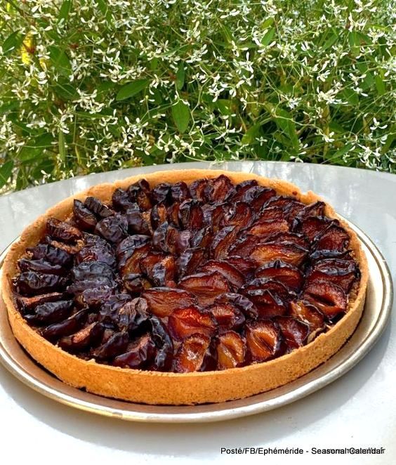 305560346_5706799879370061_6254479193384372899_n