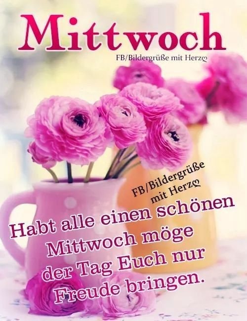 305850484_569487888194874_7417143698832669133_n (2)