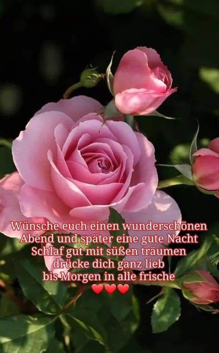 305974299_3500810203486568_2948559470007138260_n (2)