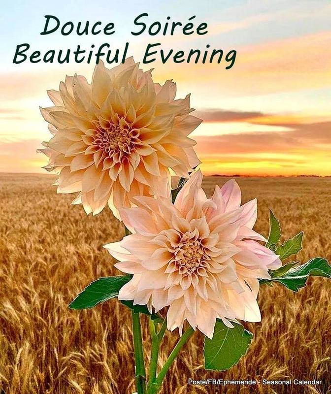 306045744_5715006528549396_8014288997143231649_n