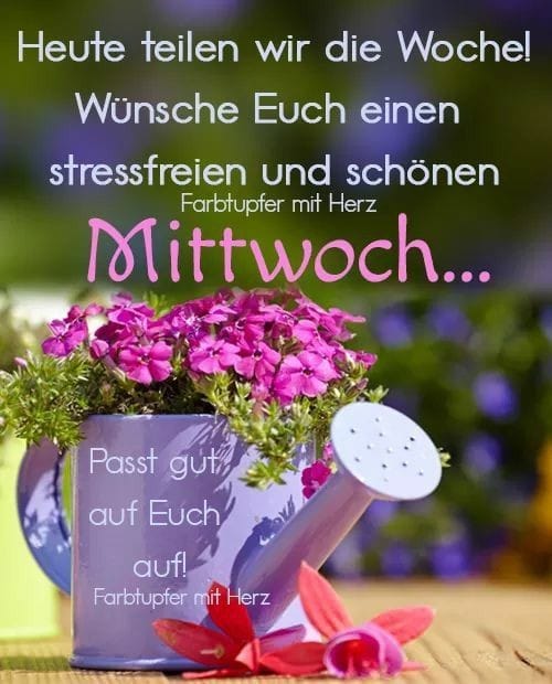 306559094_805436030698129_1497983454140031078_n (2)