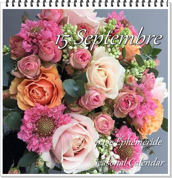 306725307_5732741573442558_7486465828618372363_n