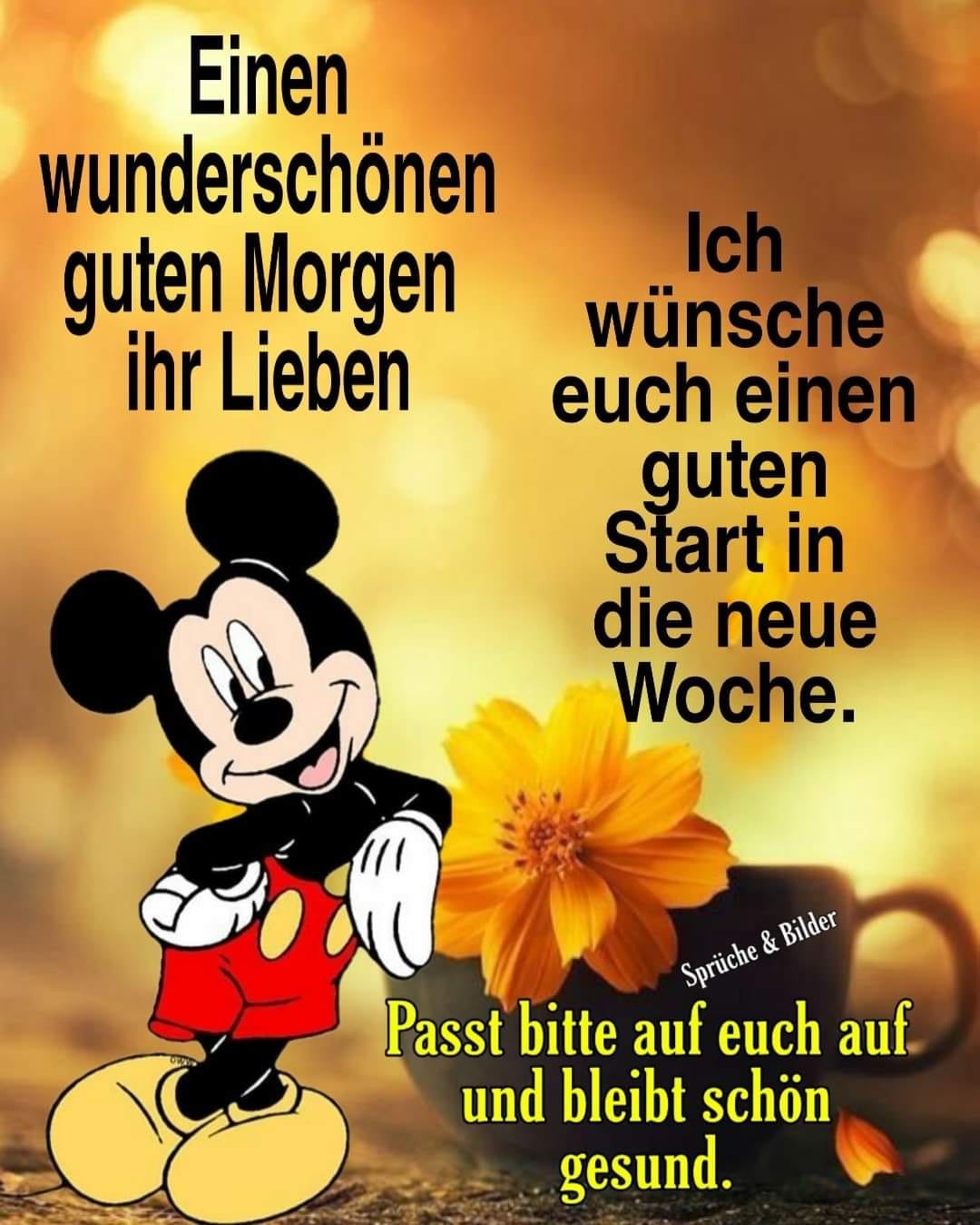 306729981_452522033519865_438734007465787668_n