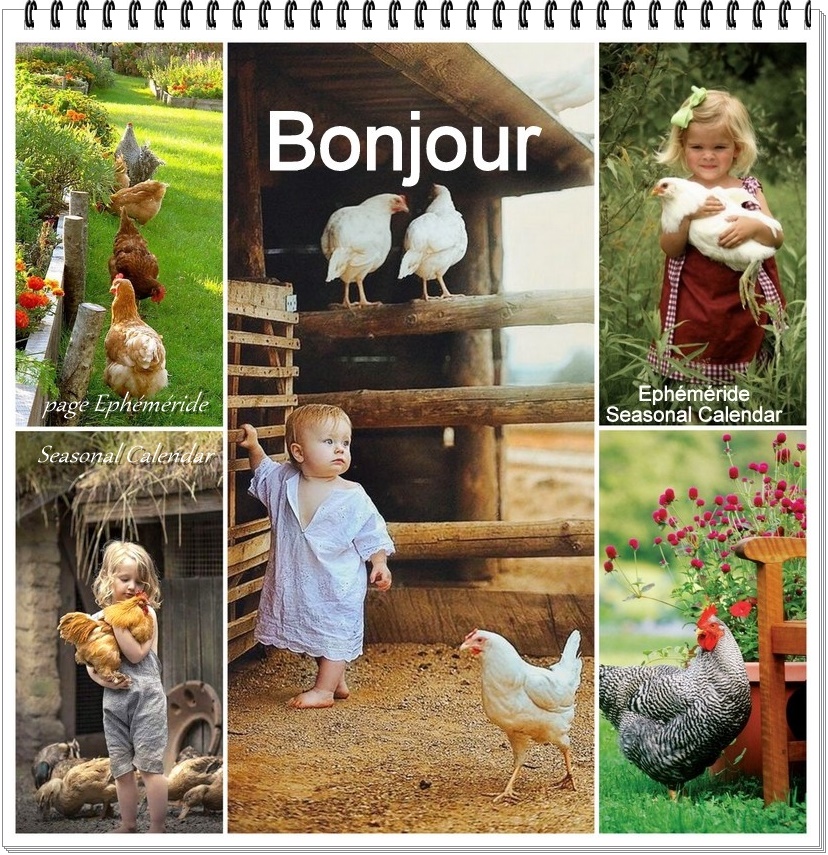 306822804_5732742736775775_4261860793921178809_n