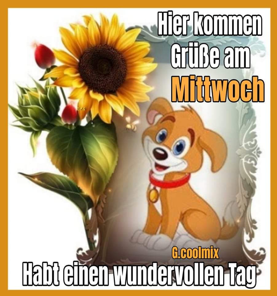 306921817_449084067196995_237570561478018943_n