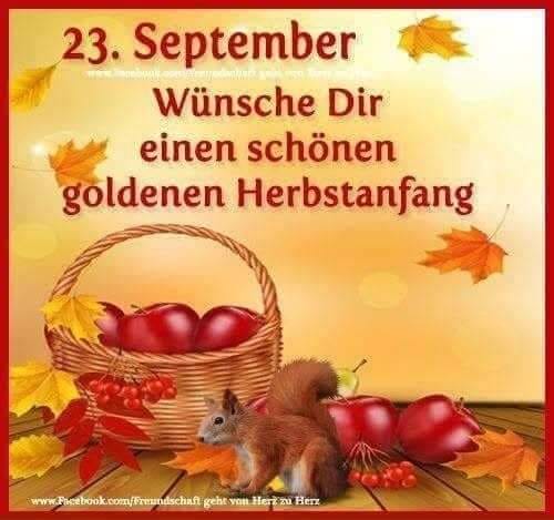 307199864_3715873115306249_4310269893359928600_n (1)