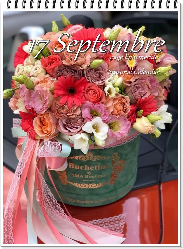 307385141_5738368572879858_8745557793609632427_n