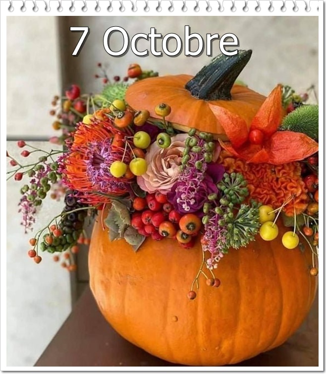 307728860_5744417685608280_7128733731796040495_n