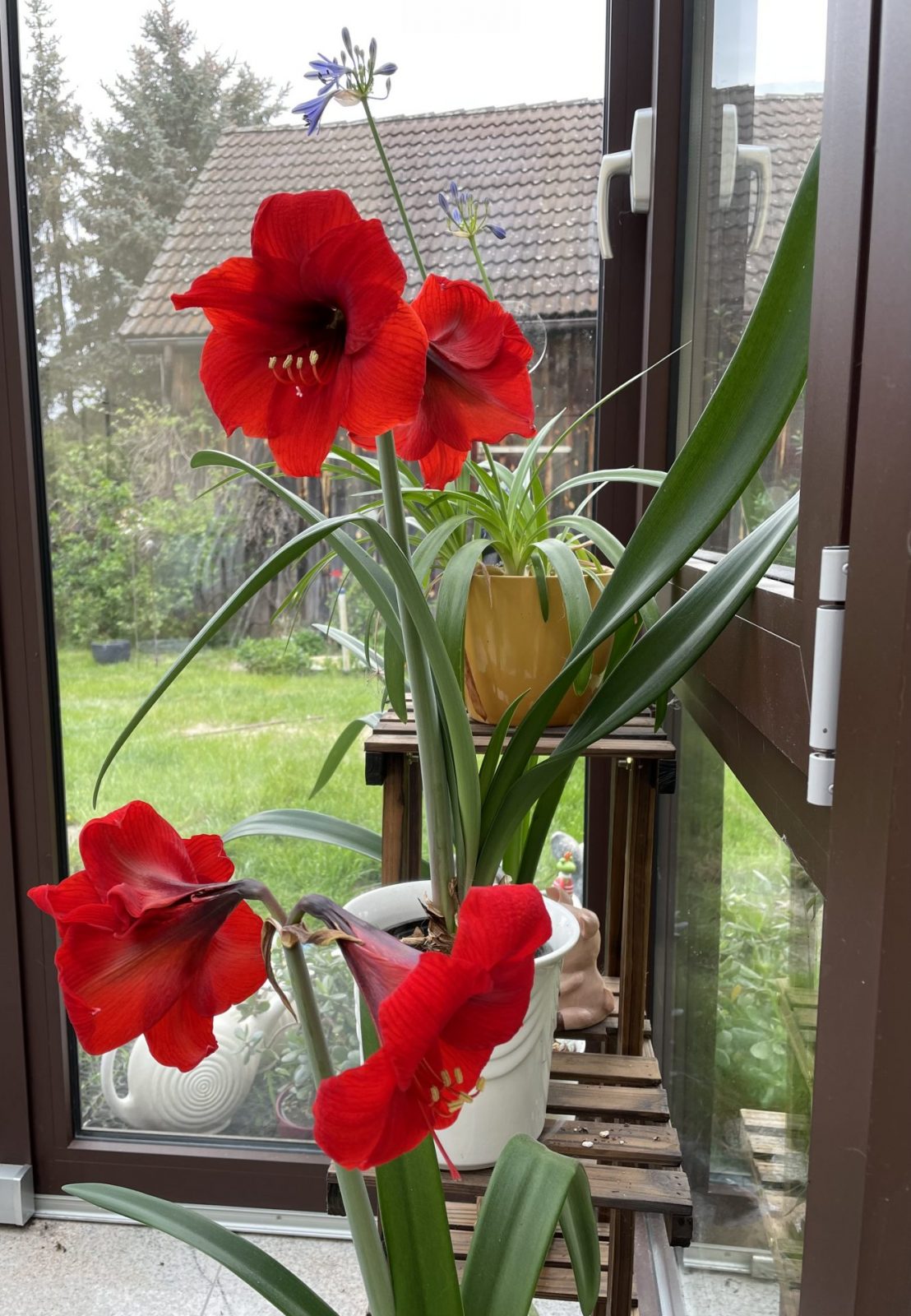 30798AC6-D240-411C-9662-1C06DC564999