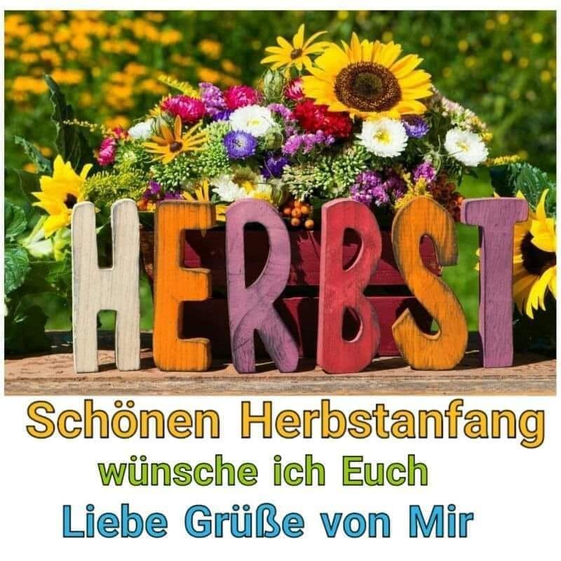 308160996_149601747761967_5751488193253306206_n