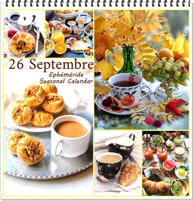 308780266_462201855942122_6115757652469688772_n