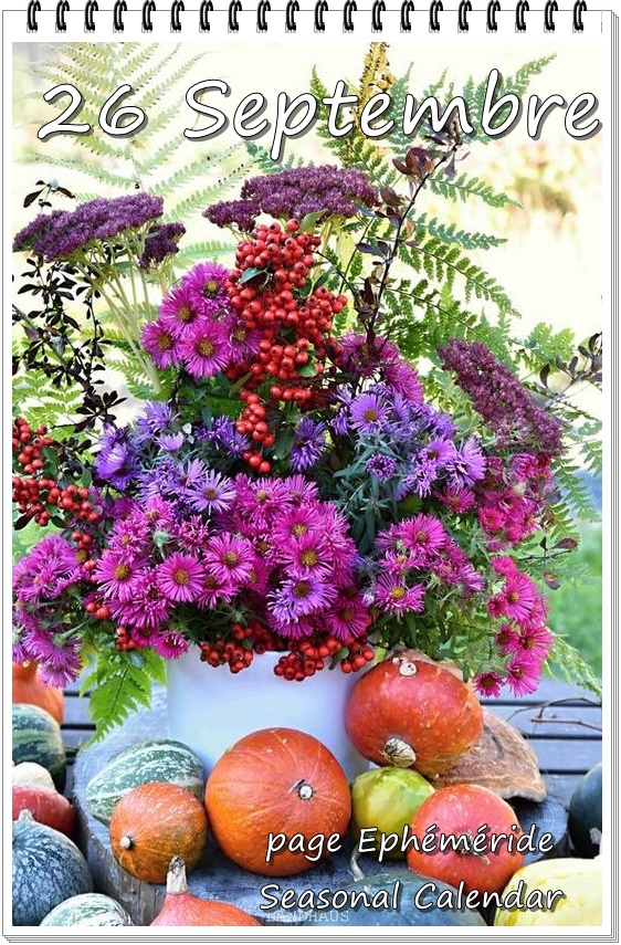 308860524_462410305921277_227797532201279445_n