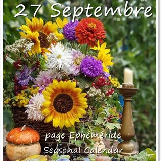 309084321_463460095816298_2796686295497707867_n