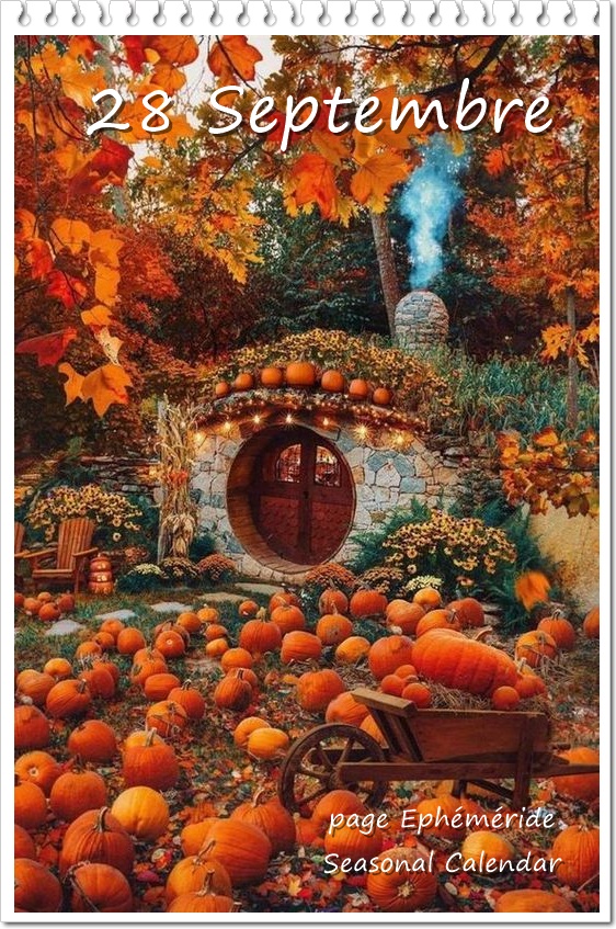 309205379_464444272384547_3920818437514063007_n