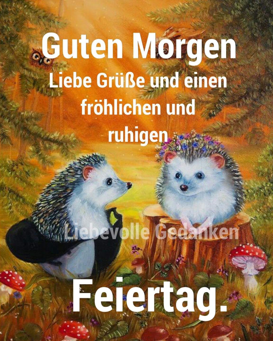 309338488_463041025801299_3461733322278376843_n