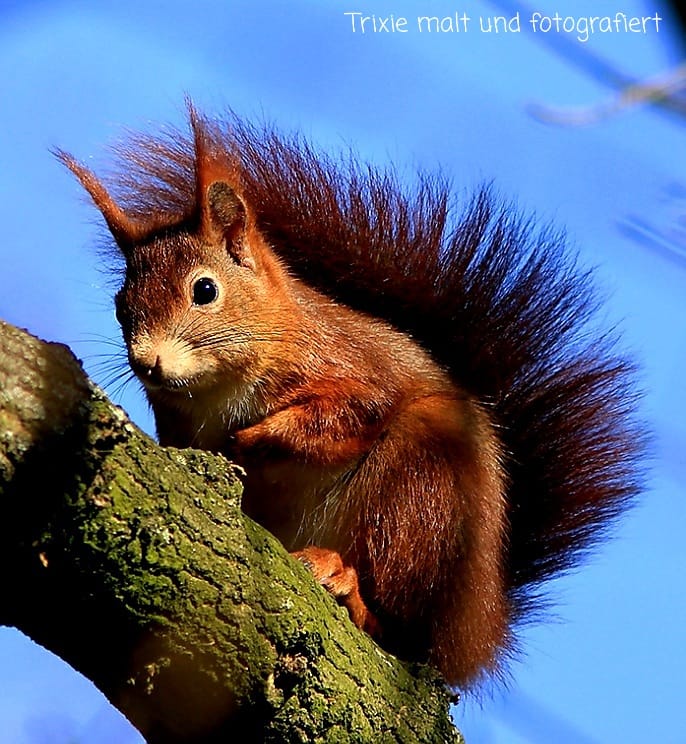 309368380_477224681107619_813290357854796684_n