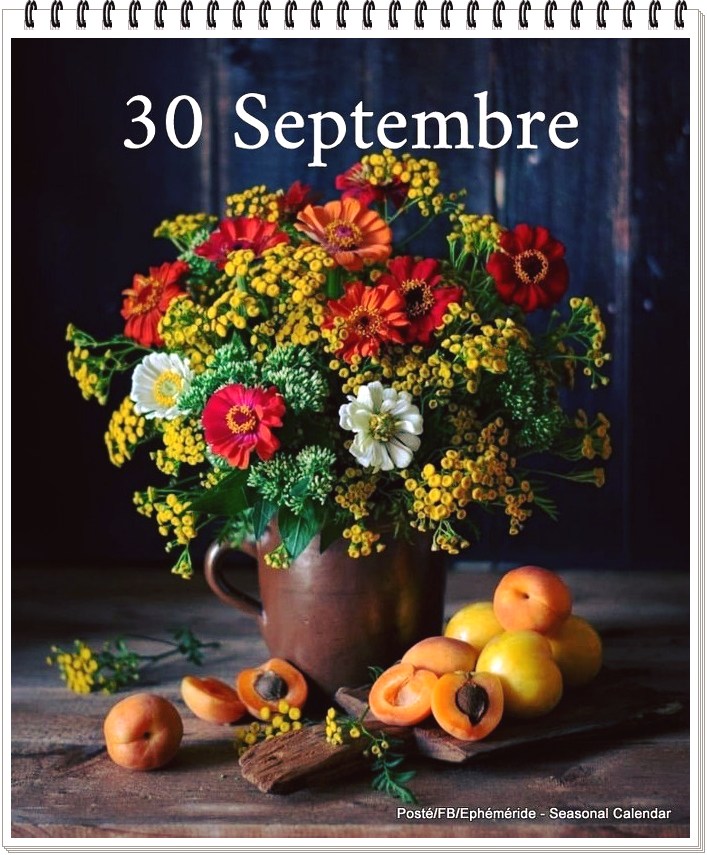 309528061_466599675502340_1859819100992266358_n