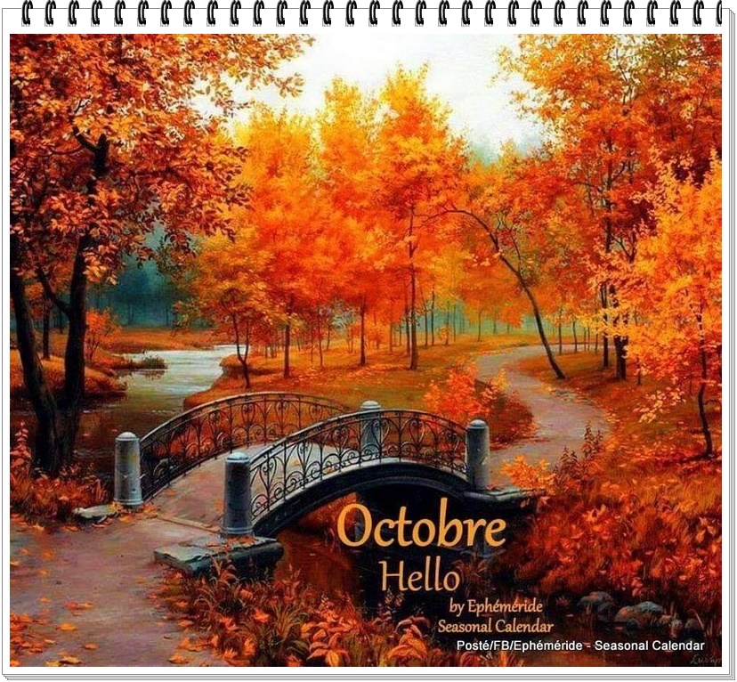 309663022_467658828729758_344732926693246288_n