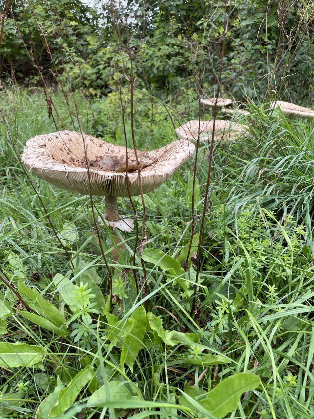 30D082C3-5BB3-4597-8F93-251A78666302