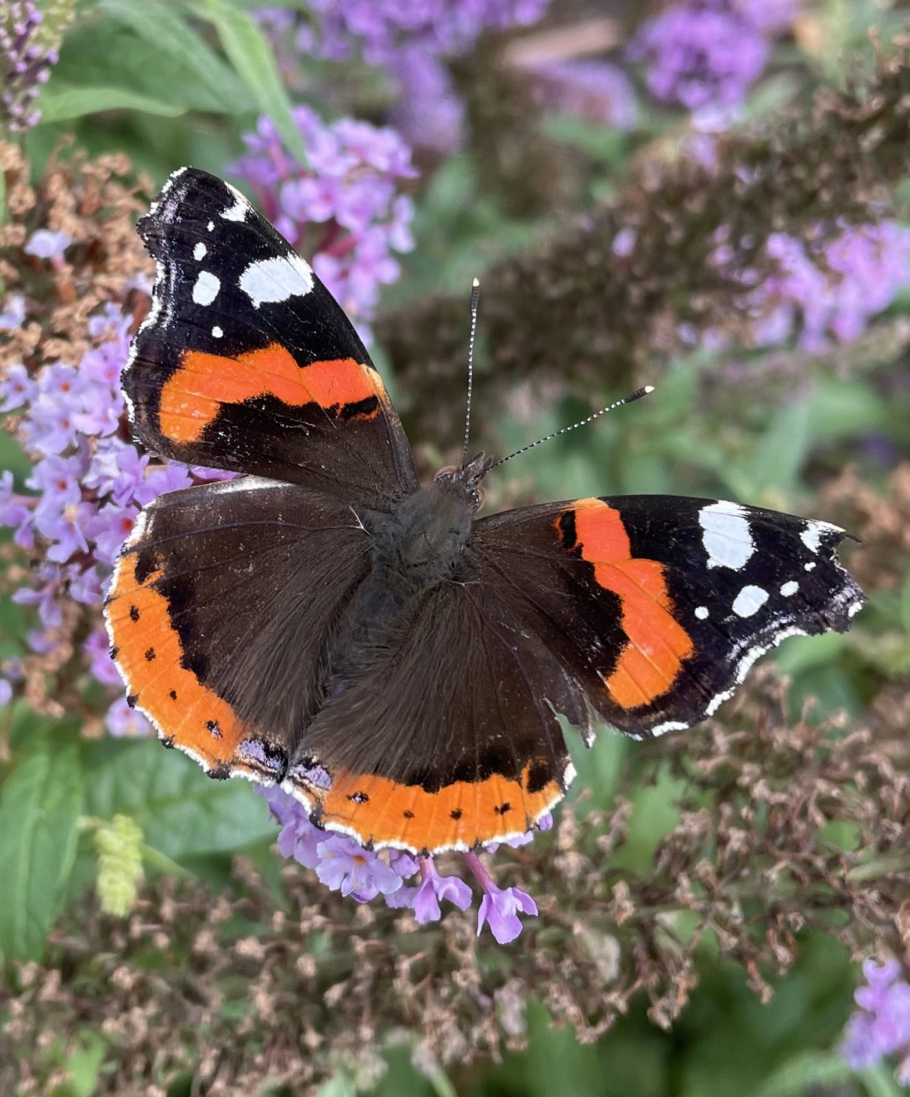 30E93AA5-9C53-477D-8223-4D35C20DD2E5