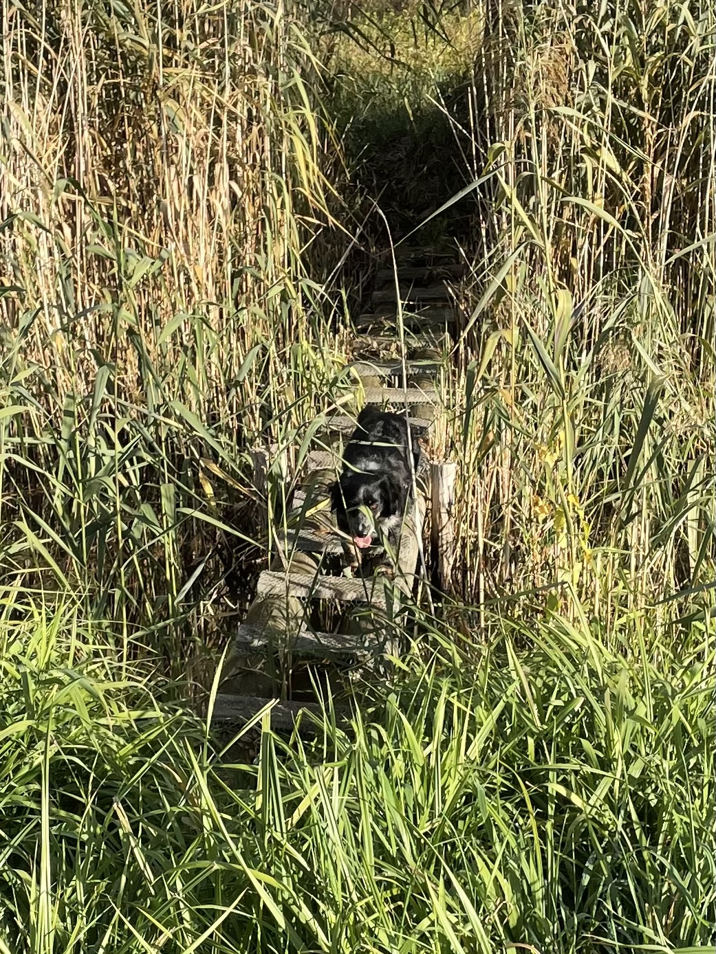 30FE766A-7FB7-485B-B63F-2251F5B4BAC0