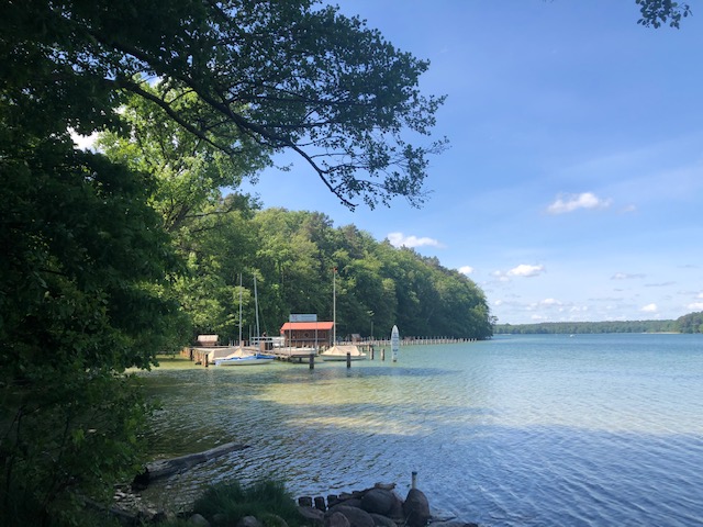 31. Mai 20.jpeg Stechlinsee.jpeg a