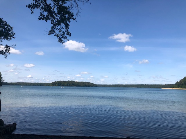 31. Mai 20.jpeg Stechlinsee.jpeg d