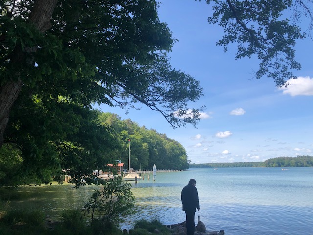 31. Mai 20.jpeg Stechlinsee.jpeg e