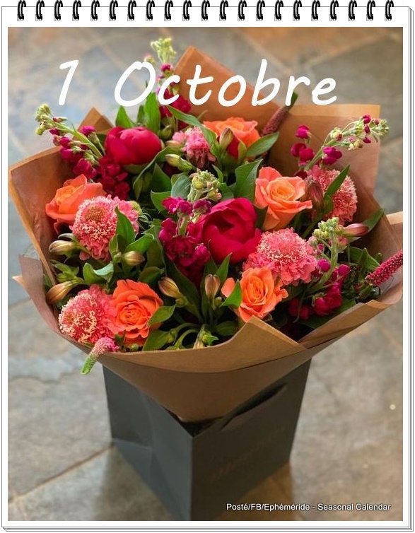 310050018_467671215395186_4915386282778543159_n