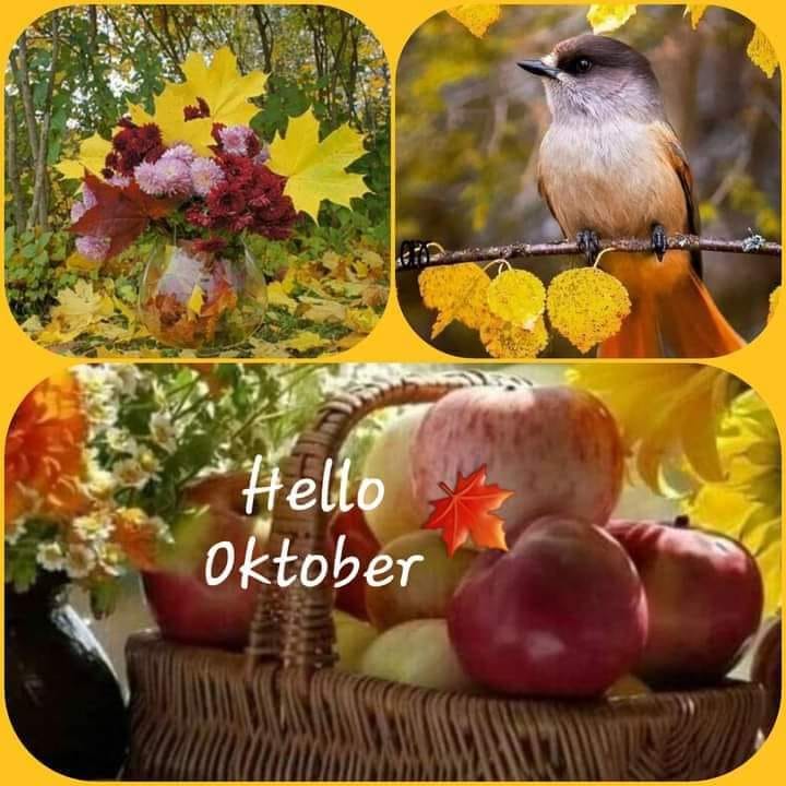 310062625_1125000828121360_2384160827065760301_n