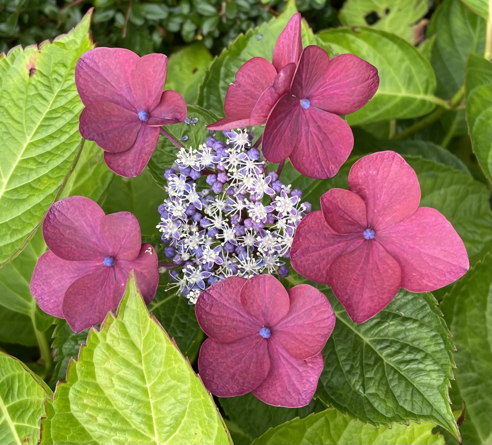 31011CC4-5259-4708-9F49-2CA11A4576AD