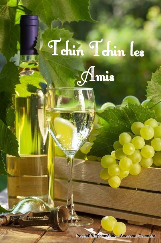 310122077_470141651814809_2675132550213257577_n