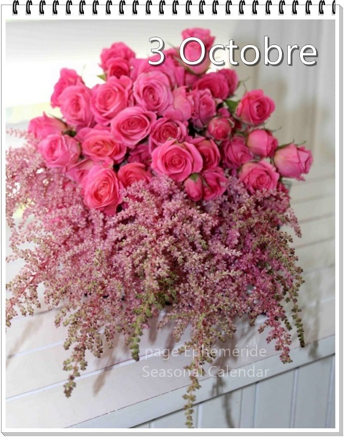 310270254_470151601813814_4393560036069610407_n