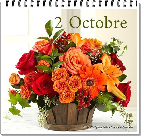 310415271_468904198605221_4418164436369013255_n