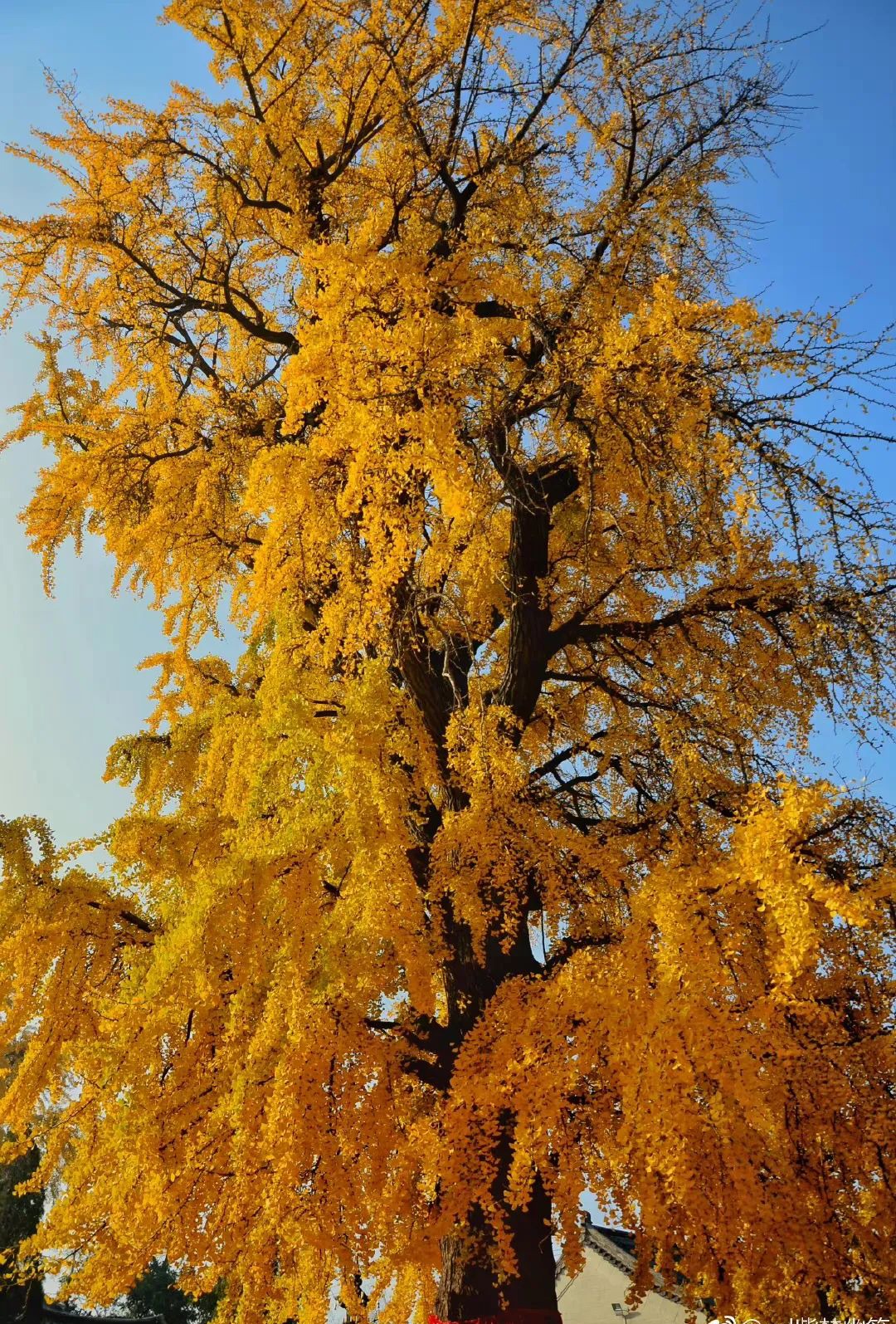 310742943_23851972155720709_4242629213708283852_n