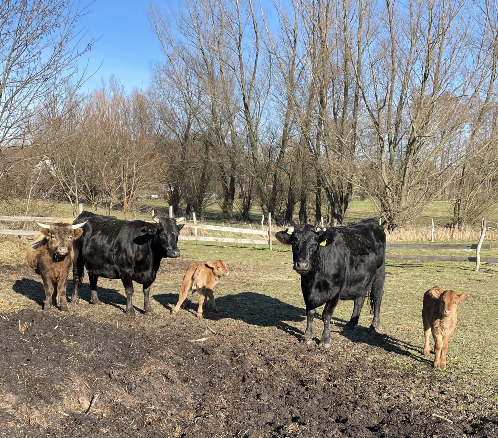 310FD81D-F569-4440-A19E-5880BF10B1C2