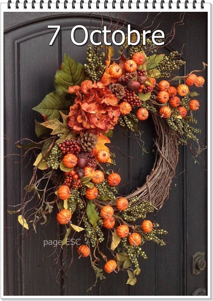 311065583_474534854708822_3669893916538845948_n