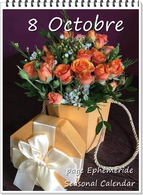 311112591_475725981256376_5831091504417303780_n