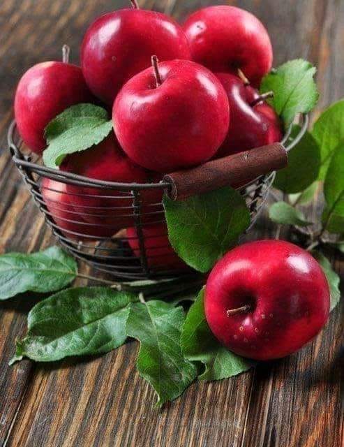 311113295_576090487623151_1884044267307114635_n