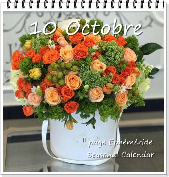 311126150_477994897696151_7564595962993388975_n