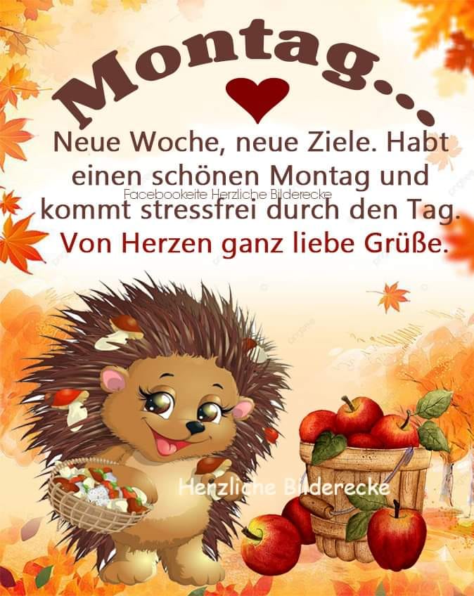 311294203_188790933623466_4481136456892631232_n (2)