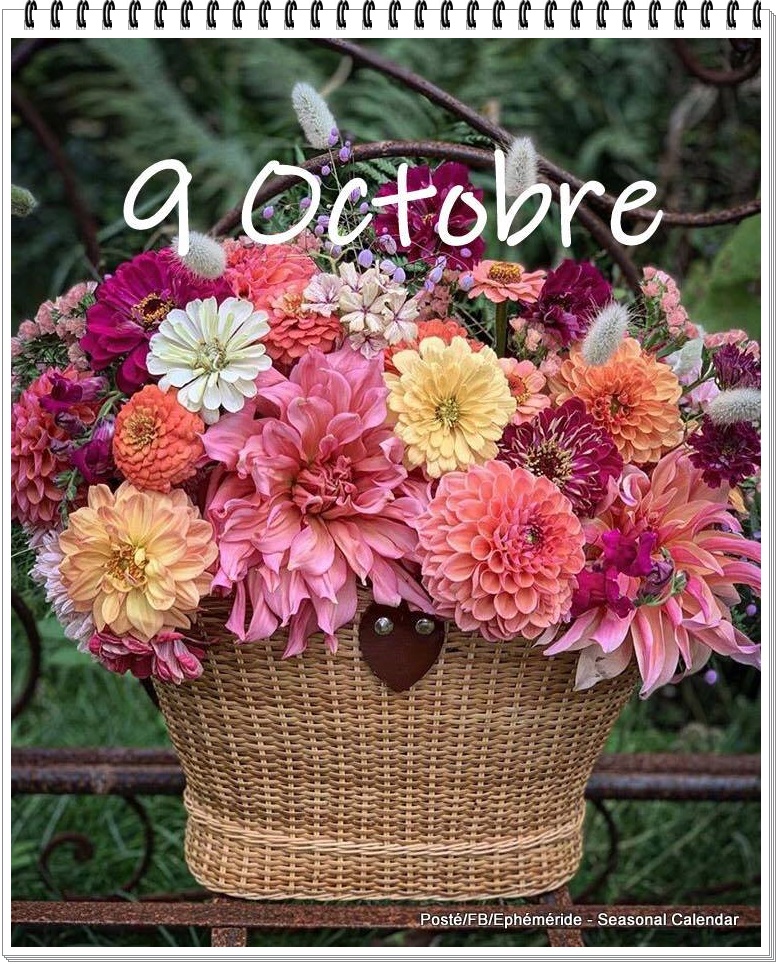 311407886_476791307816510_685587040704246819_n