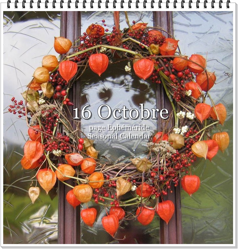 311478807_484790053683302_2023100614656711712_n